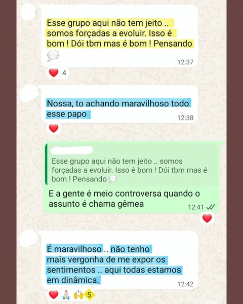 Depoimento 03 sobre consciências — Portal Chamas Gêmeas